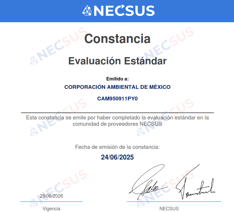 CONSTANCIA VALIDACIÓN  NECSUS 2025
